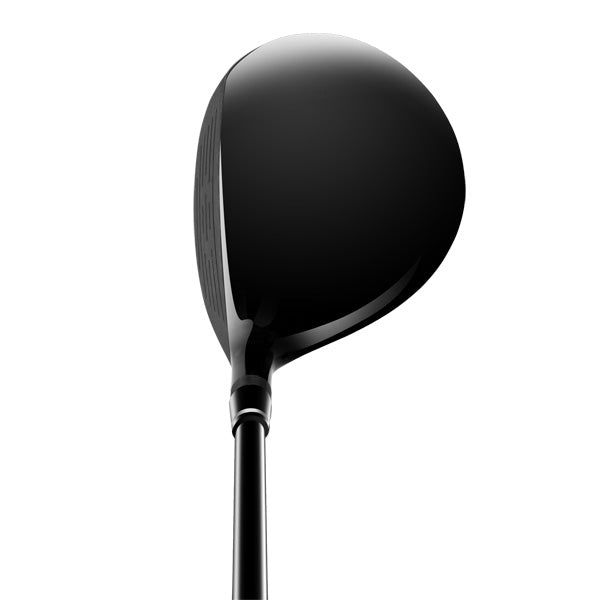 Onyx - Spyder Bite -  11 Piece set with 15 Adapter Driver - Steel Shafts: