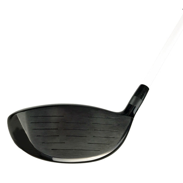 Onyx - Spyder Bite -  11 Piece set with 15 Adapter Driver - Steel Shafts: